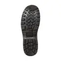 tarai-s3 (1).webp